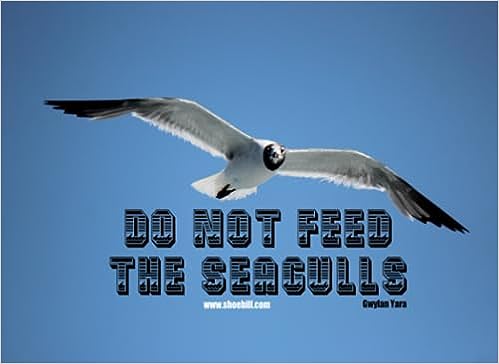 Do Not Feed The Seagulls