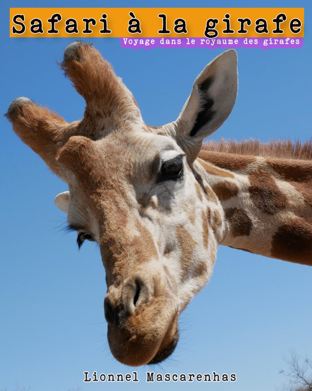 Kinderboeken over giraffen : Giraffe Avontuur: Reis naar het Giraffenrijk