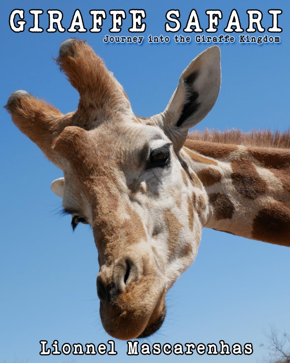 Giraffe Safari –  Journey into the Giraffe Kingdom