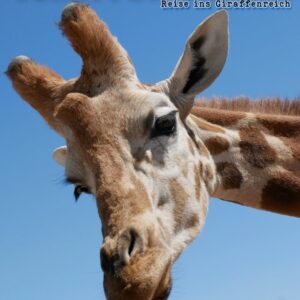 Giraffen Safari: Reise ins Giraffenreich