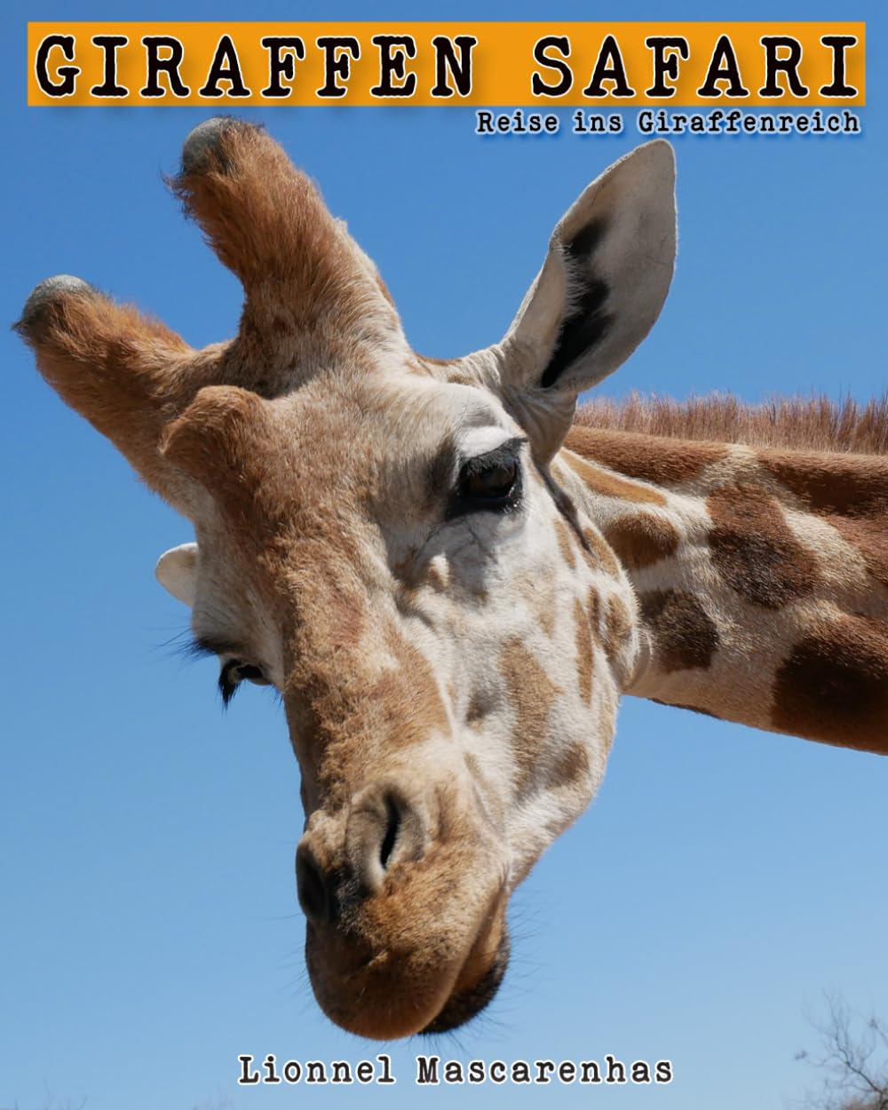 Giraffen Safari: Reise ins Giraffenreich – Ein Giraffen-Bilderbuch für Kinder