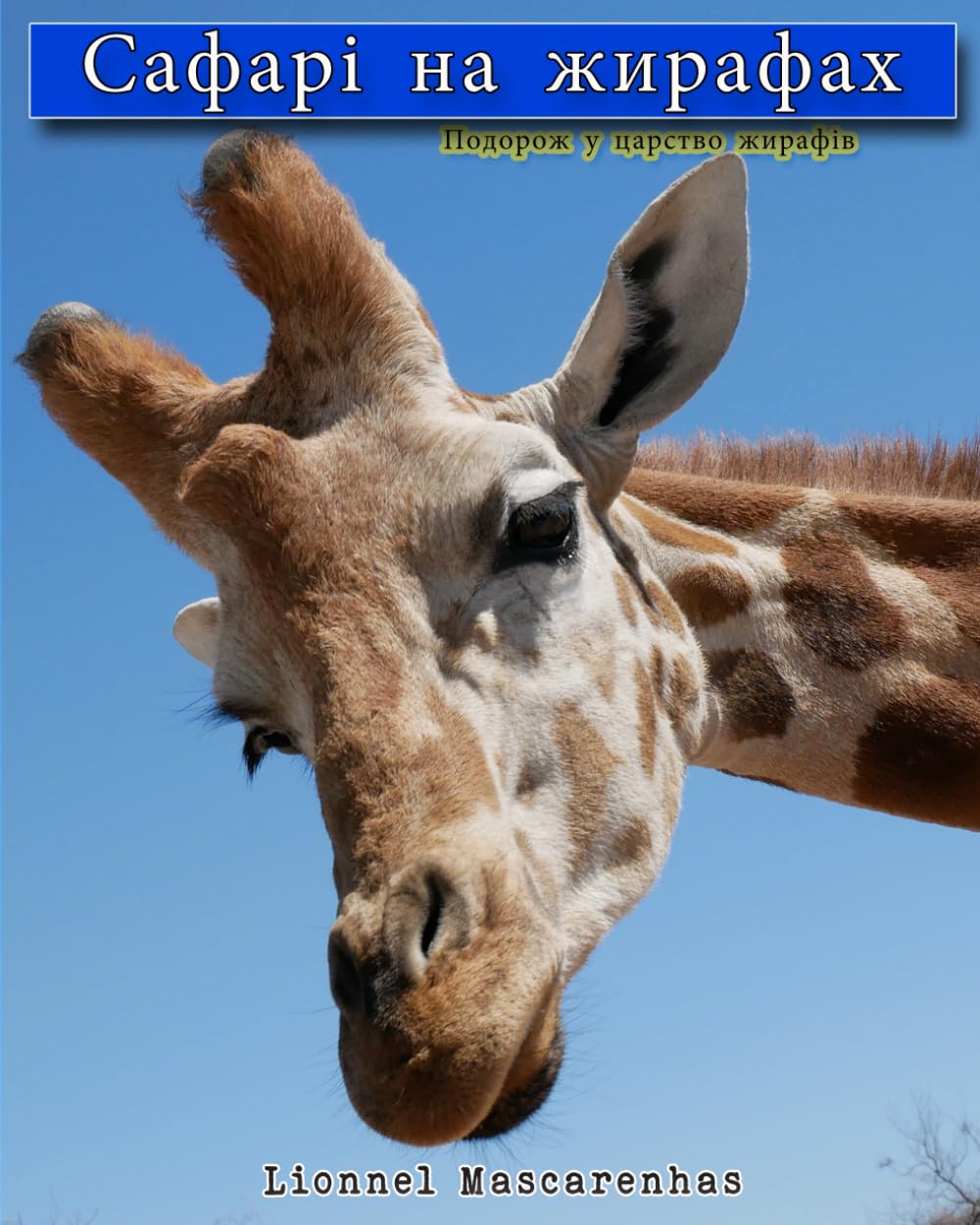 Сафарі на жирафах – Подорож у царство жирафів