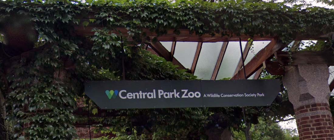 Central Park Zoo, New York, NY