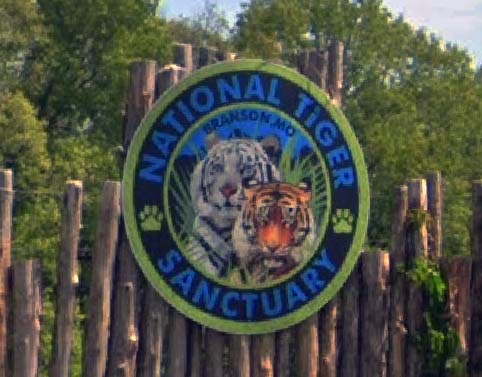 National Tiger Sanctuary, Saddlebrooke, MO