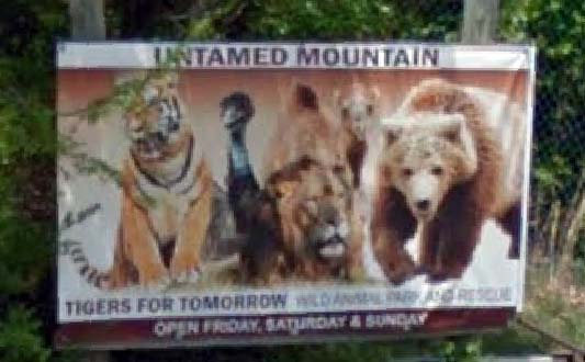 Tigers For Tomorrow Wild Animal Preserve, Attalla, AL