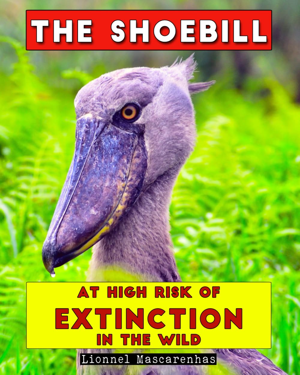 The Shoebill : At high risk of extinction in the wild – A kids book on the Shoebill