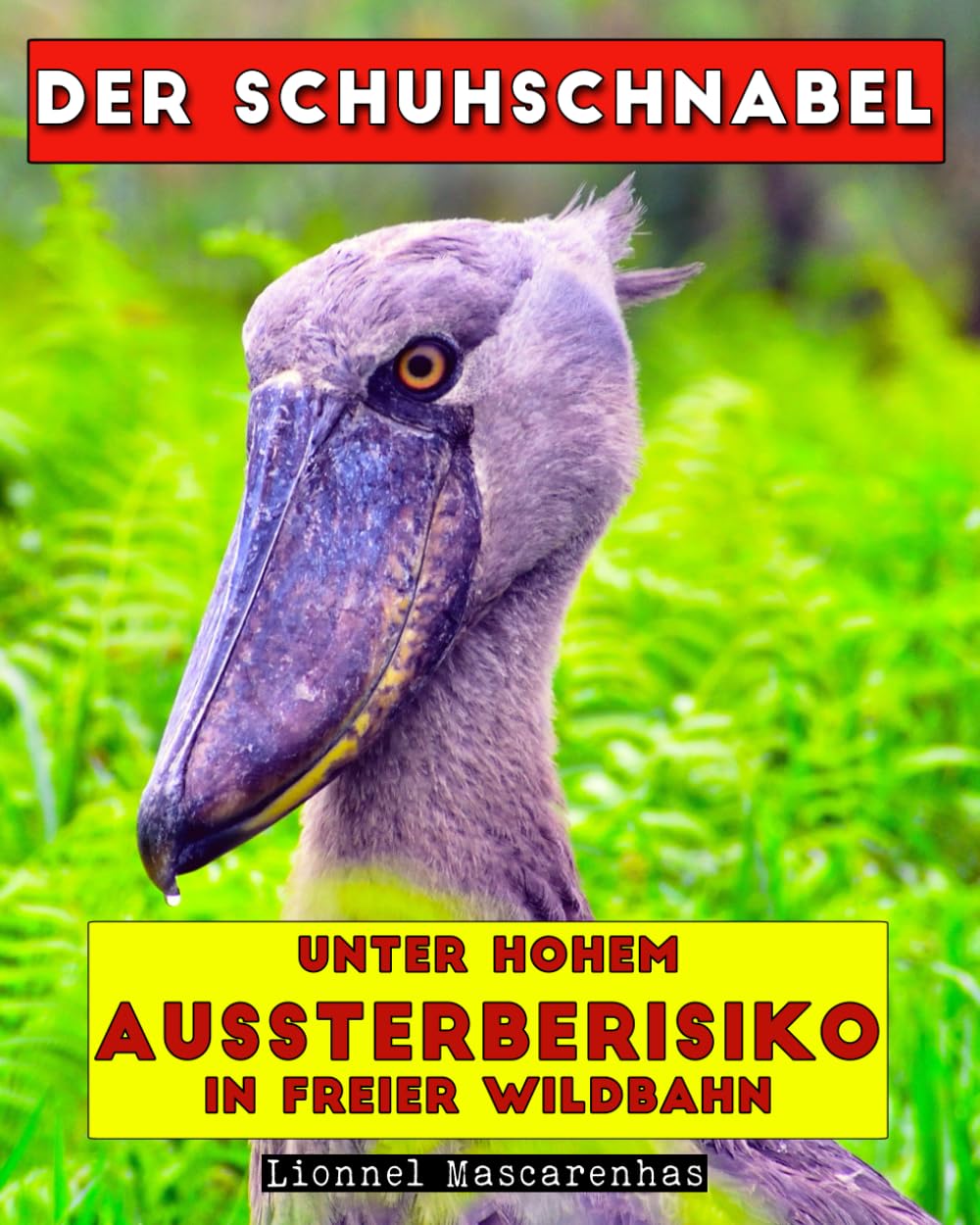 Der Schuhschnabel : Unter hohem Aussterberisiko in freier Wildbahn