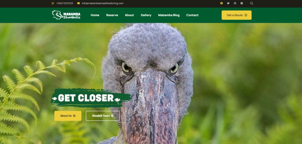 mabambashoebillwatching.com mabambashoebillwatching.com