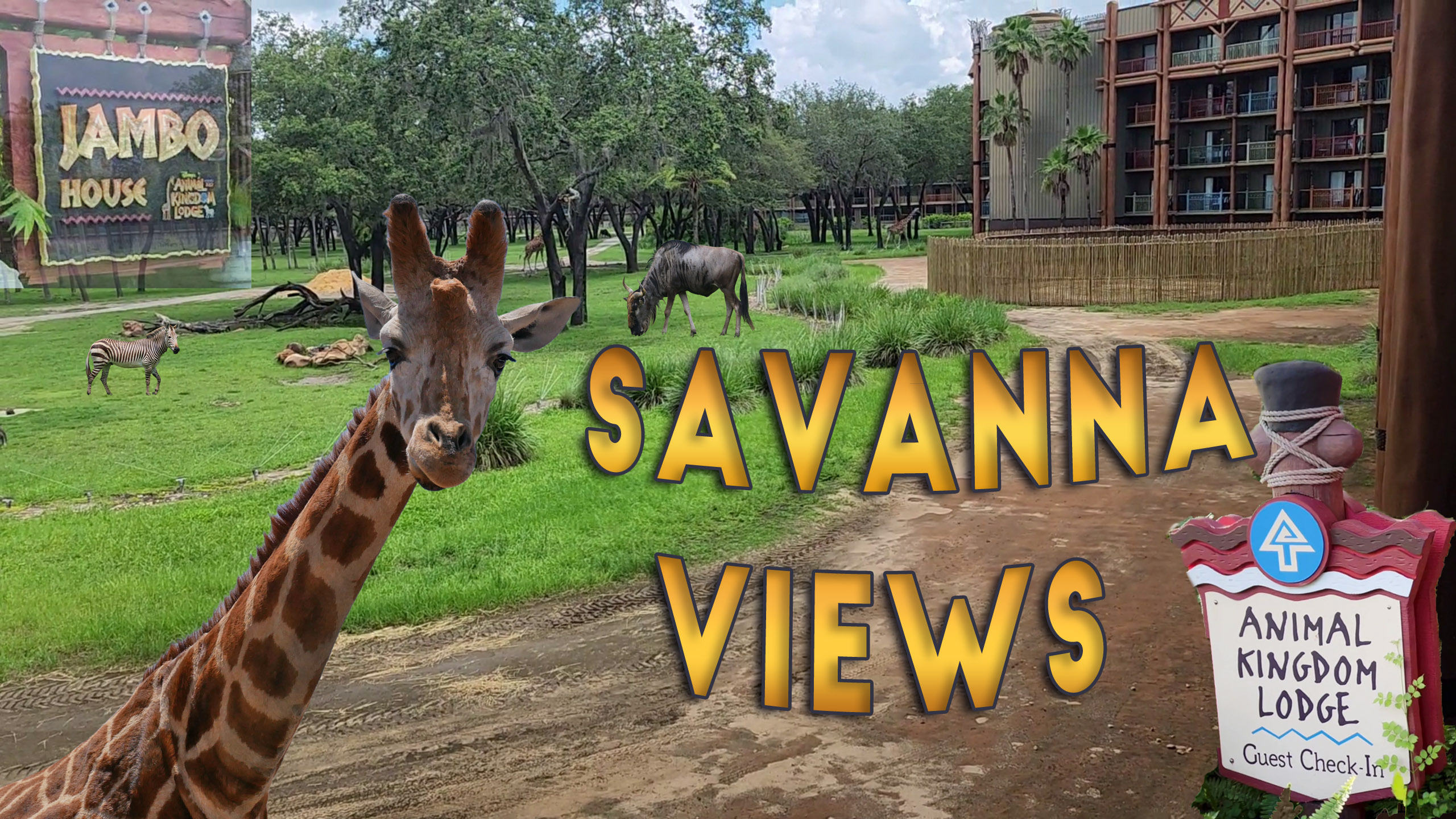 Visit Disneys Animal Kingdom Lodge | Jambo House