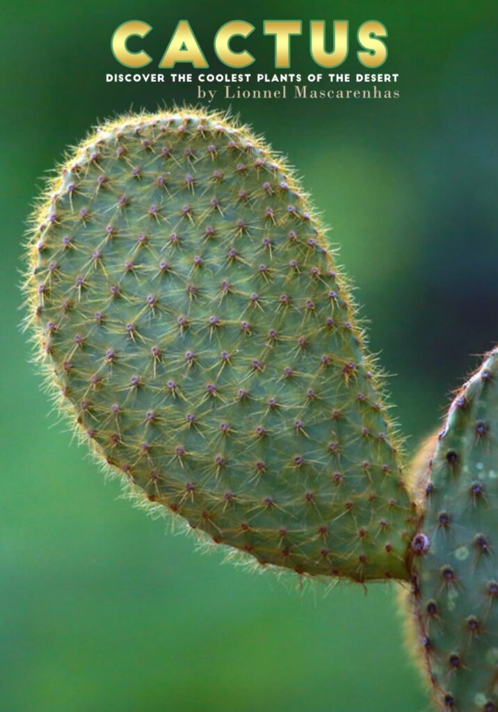 Cactus: Discover the Coolest Plants of the Desert Cactus: Discover the Coolest Plants of the Desert
